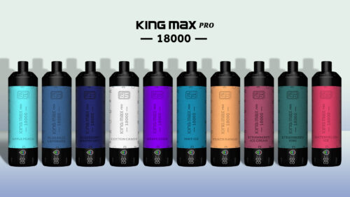 BS Kingmax Pro (18000 puffs) Lung Inhalation