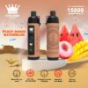 BS Kingmax Hookah 15000 puffs