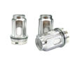 V18 Mini Meshed Replacement Coils, 0.33 Ohm, Works With G-Priv 4, Fortis, R-Kiss 2, Vaping Coils, Pack of 5, No Nicotine