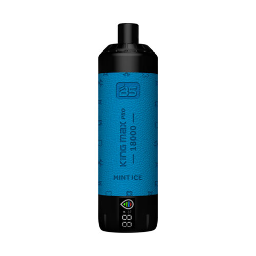 BS Kingmax Pro (18000 puffs) Lung Inhalation