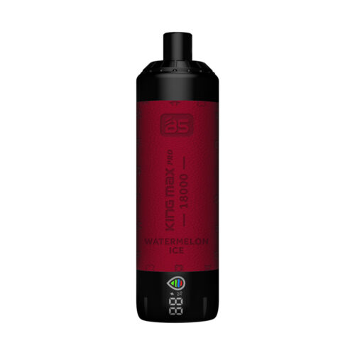BS Kingmax Pro (18000 puffs) Lung Inhalation